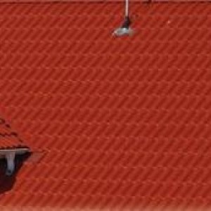 podwojna-s-candor-z-polyskiem